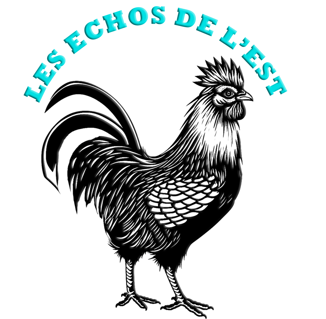 LOGO LES ÉCHOS DE L'EST