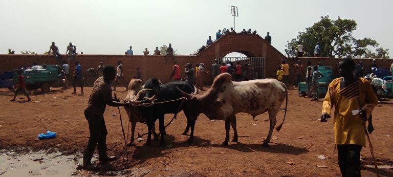 Interdiction de marché à bétail « parallèle » à Fada N’Gourma